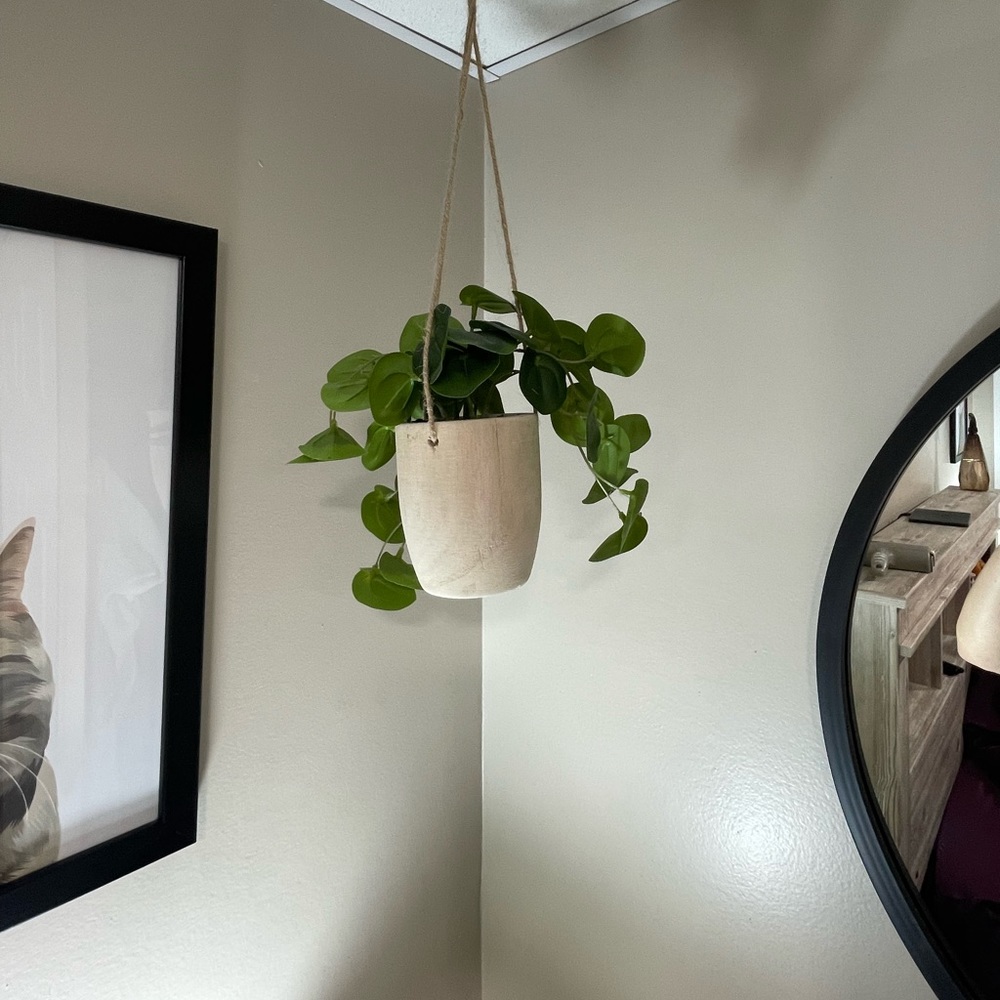 Hanging Potted Fake Plant